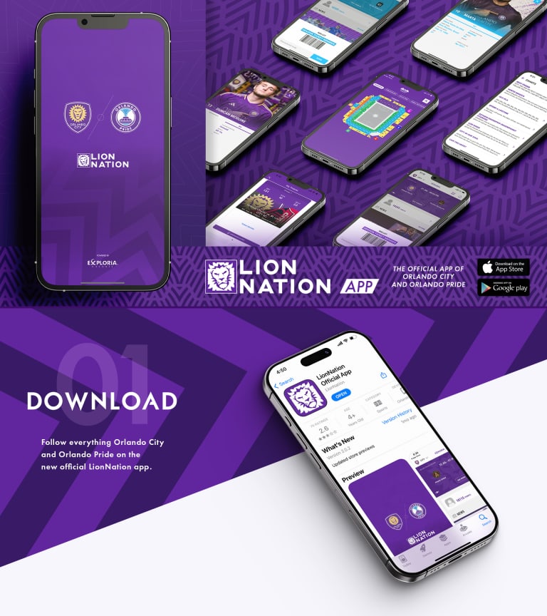 2025LionNationInfographic_01